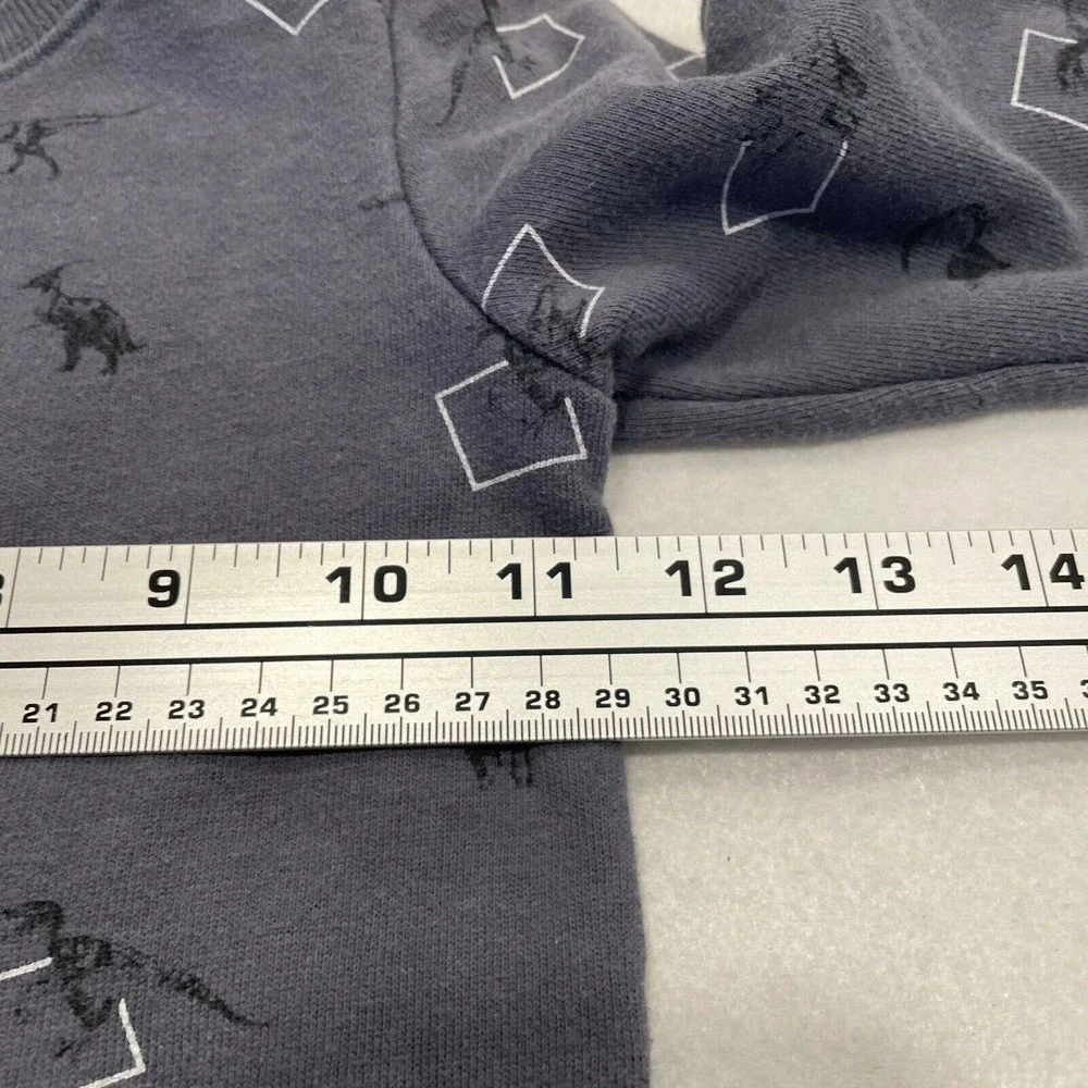 Sovereign Code Baby Boy Dinosaur Print Sweatshirt 24 Months Infant Gray Pullover